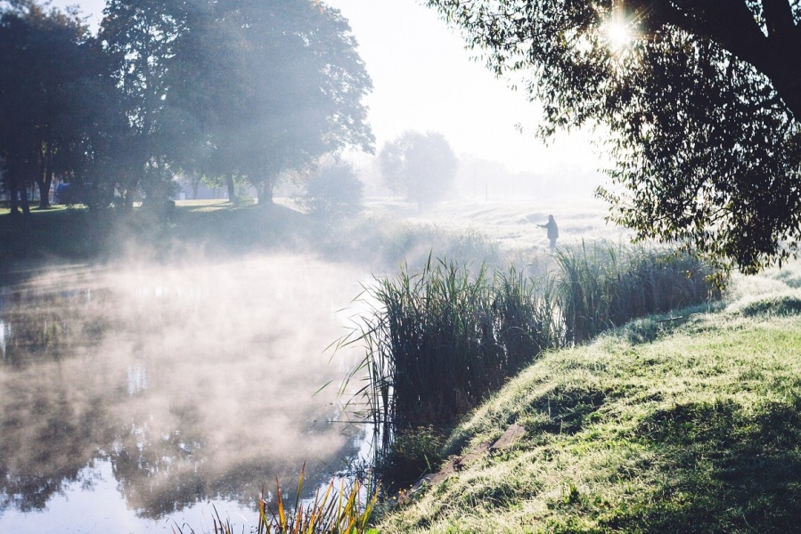 12 красивейших природных троп в Латвии