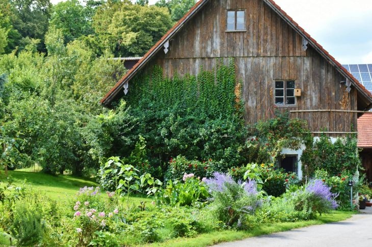 Dārza dizains: praktiskas idejas dārza ierīkošanai